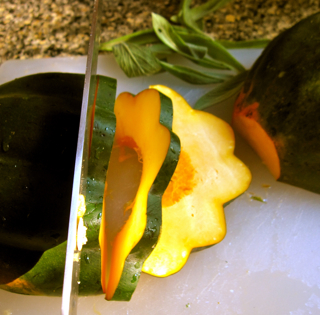 peggylampmanacornsquash