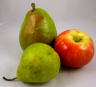 peggylampmanApplepear.jpg