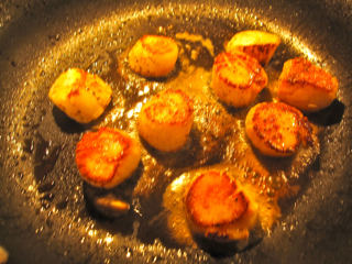 lampmansearingscallops.jpg