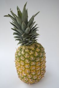 pineapple.jpg