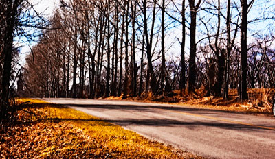 fall-road-edited400use.jpg