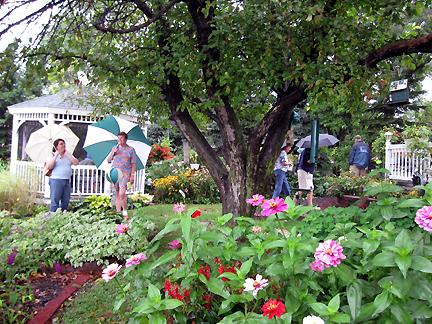 MillaYspi2Backyard.jpg