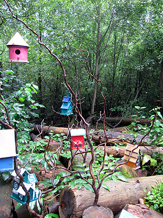 MillaYpsi3Birdhouses.jpg