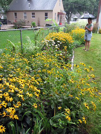 Milla Ypsi5Fence.jpg