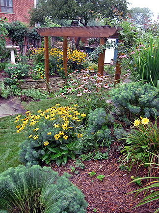MillaYpsi6BackGarden.jpg