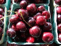 PalmerCherries