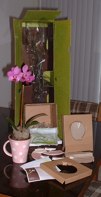 DSCF0081.JPG