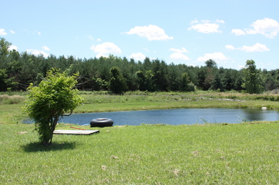 Old Pine Farm Swimming Hole