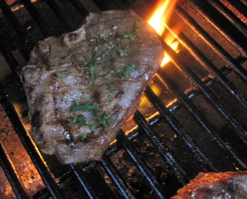 lampman, grilling rosemary balsamic lamb chops