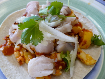 Shikes Haines Fish Tacos