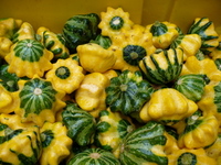 Shikes Haines Our Family Farm squash