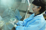 Thumbnail image for webnanobio.jpg