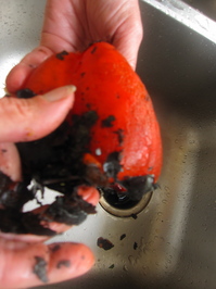 lampman, cleaning roasted red pepper