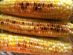 peggy lampman, roasted corn in oven