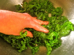 lampman, massaging dressing into kale salad