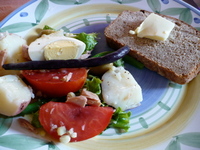 Shikes Haines - Plate with Farmers Market Nicoise