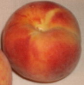 Thumbnail image for Bilyeu Peach.JPG