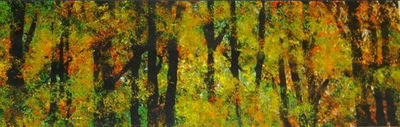 northernhardwoods.jpg