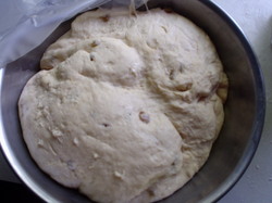 Bilyeu First Rising of Bread Dough.JPG