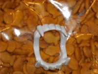 DSCF1882.JPG