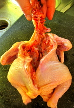 lampman, spatchcocking game hens 