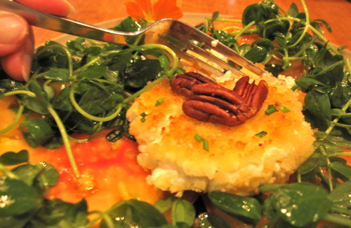 Peggy lampman, September Farmer's Market Salad