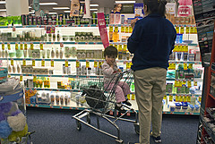 Annie Zirkel Shopping cart.jpg