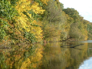 DSCF0016.jpg