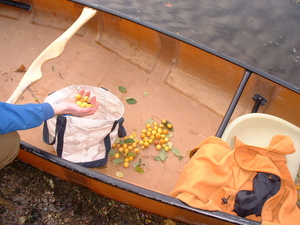 DSCF0017.jpg