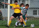 Ann Arbor news roundup: Oct. 29