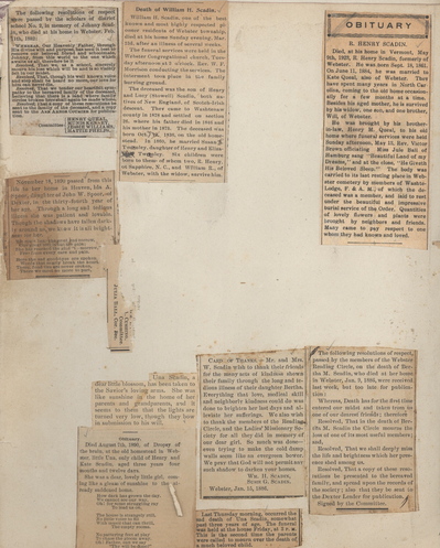 scadin15_2.jpg