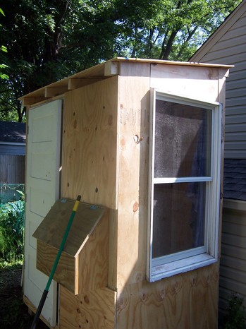 Borden - chicken coop in the sun