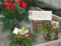 CarrieBR_GMarrangements.jpg