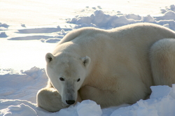 IMG_1327_1.JPG