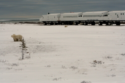 IMG_2424_1.JPG