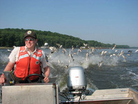 Jumping_Carp_USFWS.jpg