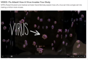 Thumbnail image for Thumbnail image for Thumbnail image for NPRVirus.png
