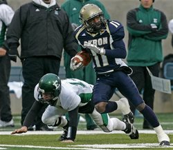 emu-akron.jpg.jpg