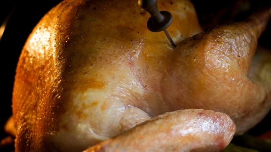 webster_thanksgiving_turkey.jpg