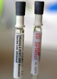 Thumbnail image for Thumbnail image for 112209_swine_flu_7.jpg