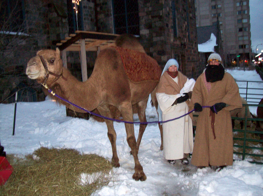 Thumbnail image for 122409_livingmanger.JPG
