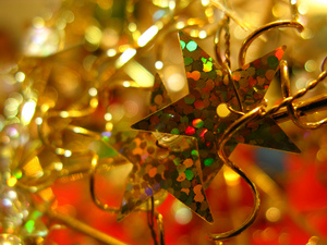 jessica-webster-holiday-cheer.jpg