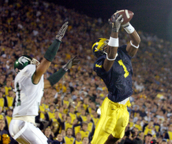 braylon edwards michigan jersey