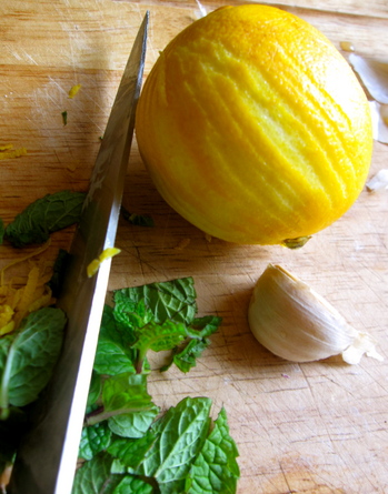 lampmanmintgremolata.JPG