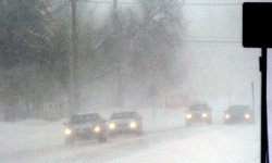 Snow.JPG