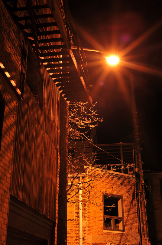 012110_annarbor_nocturne_4.jpg