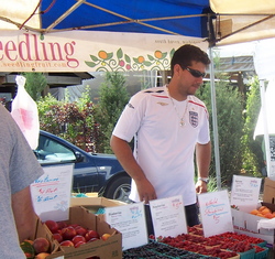 Borden - seedlings at WSFM