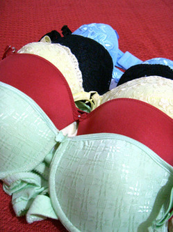 Thumbnail image for Thumbnail image for bra.jpg