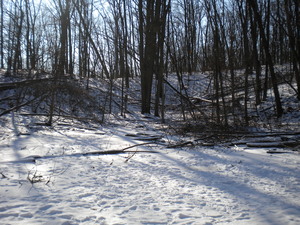 DSCN6618.JPG