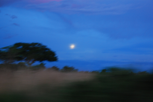 MurchisonFallsNationalPark-Sparks.JPG